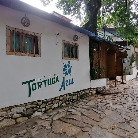Casa Tortuga Azul Hotel Palenque Ngoại thất bức ảnh