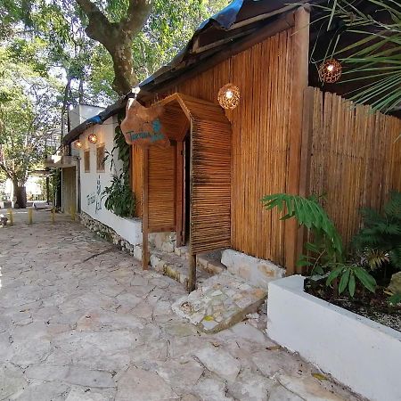 Casa Tortuga Azul Hotel Palenque Ngoại thất bức ảnh