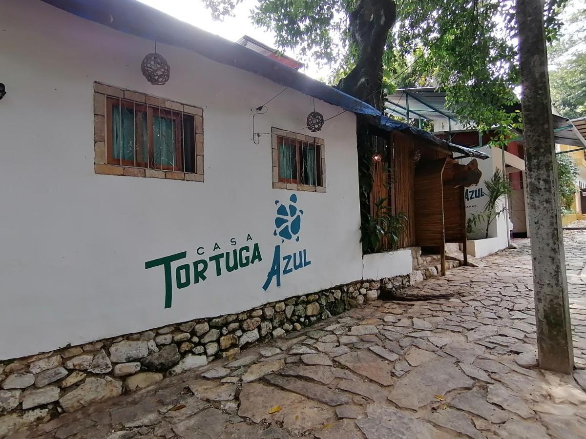 Casa Tortuga Azul Hotel Palenque Ngoại thất bức ảnh