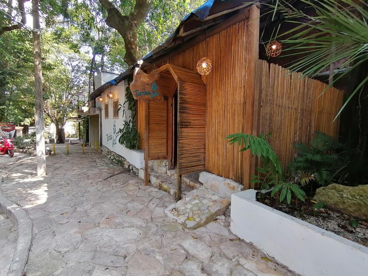 Casa Tortuga Azul Hotel Palenque Ngoại thất bức ảnh